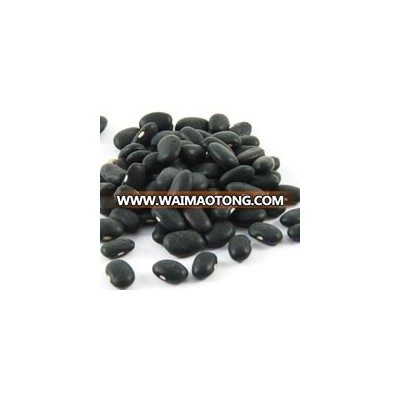 Top Premium Grade A Black kidney beans Best Price